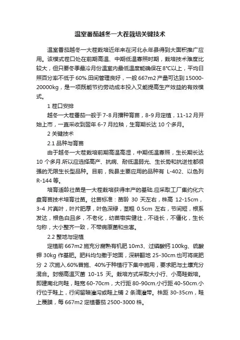 温室番茄越冬一大茬栽培关键技术