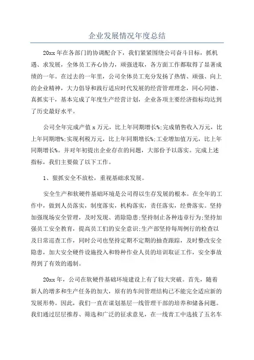 企业发展情况年度总结