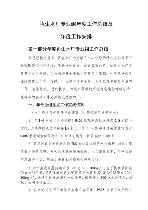 再生水厂专业组年度工作总结及下年安排(能源化工有限公司)