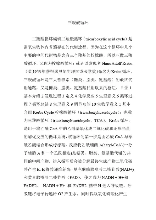 三羧酸循环