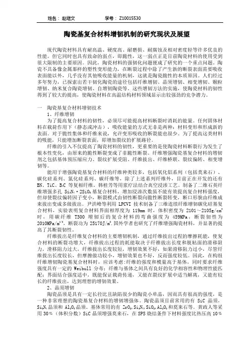 陶瓷基复合材料增韧机制的研究现状及展望