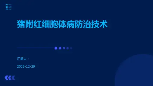 猪附红细胞体病防治技术