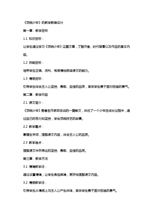 《顶碗少年》的教学教案设计