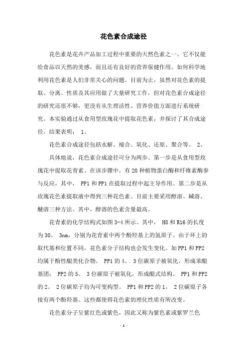 花色素合成途径