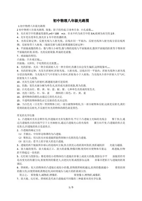 最新初中物理八年级光路图