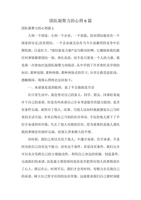 团队凝聚力的心得6篇