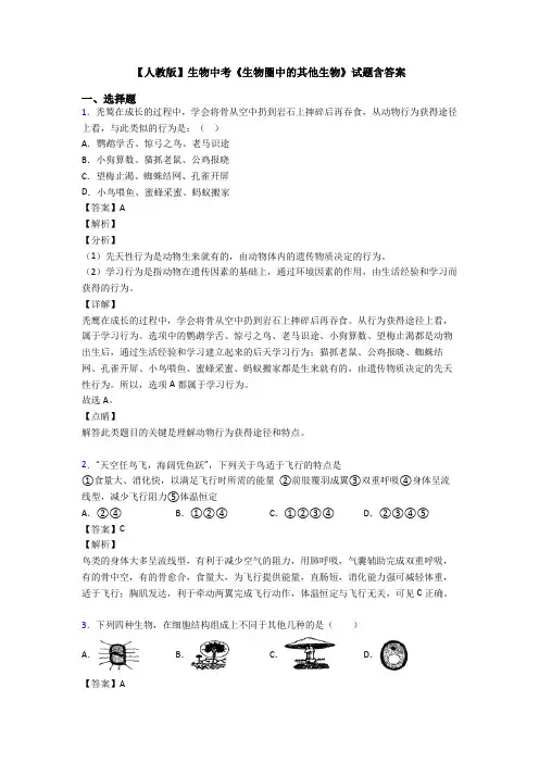 【人教版】生物中考《生物圈中的其他生物》试题含答案