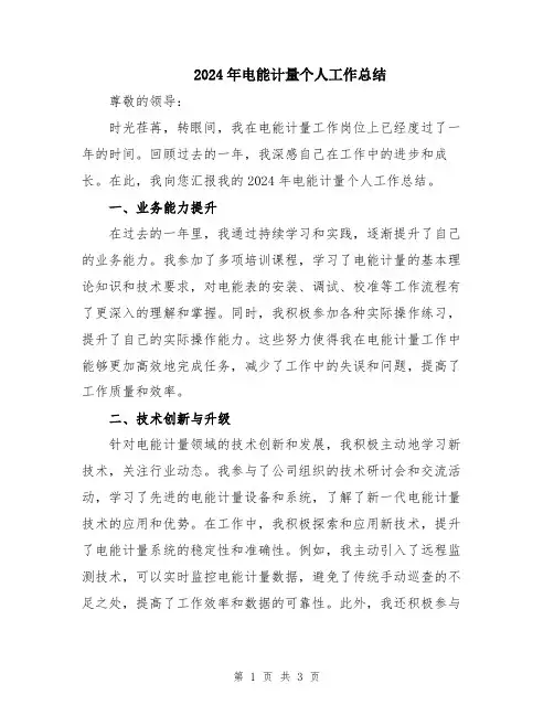 2024年电能计量个人工作总结