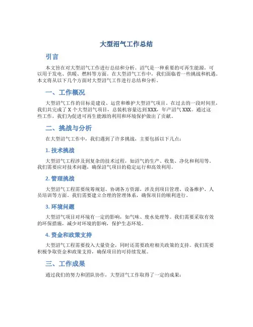 大型沼气工作总结