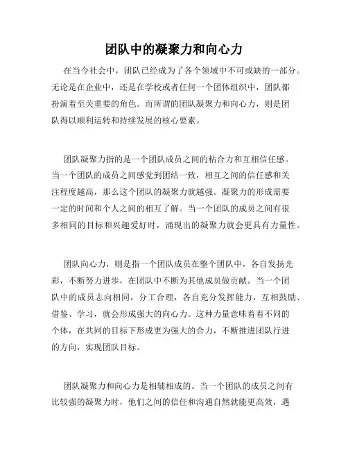 团队中的凝聚力和向心力