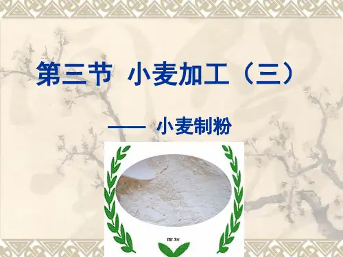 第三节 小麦加工(三)
