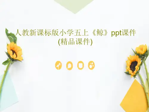 人教新课标版小学五上《鲸》ppt课件(精品课件)17页PPT