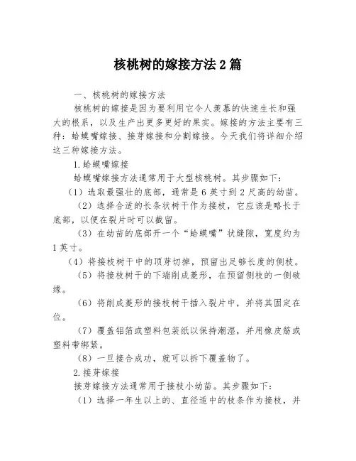 核桃树的嫁接方法2篇