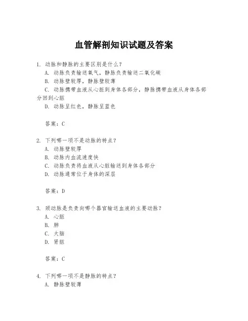 血管解剖知识试题及答案