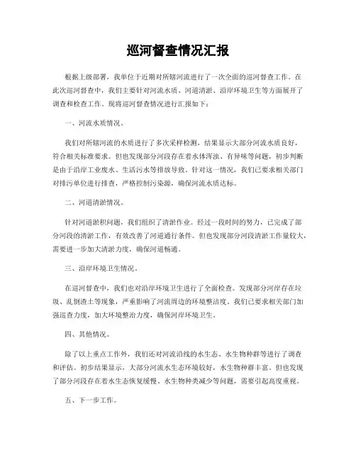 巡河督查情况汇报