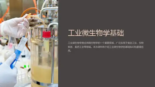 《工业微生物学基础》课件