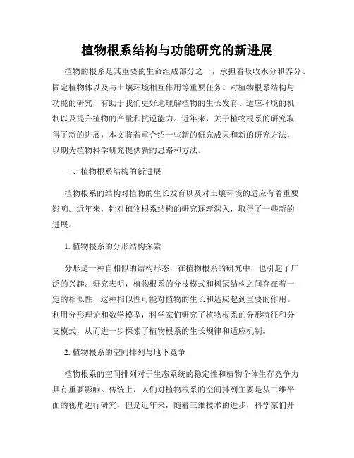 植物根系结构与功能研究的新进展