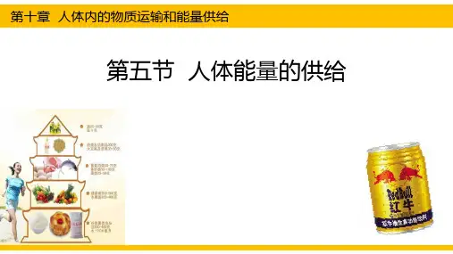 苏教版七年级下册生物《人体能量的供给》精品教学课件