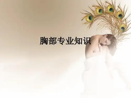 胸部专业知识ppt课件