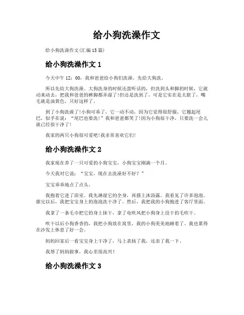 给小狗洗澡作文