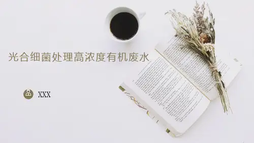 光合微生物处理高浓度有机废水