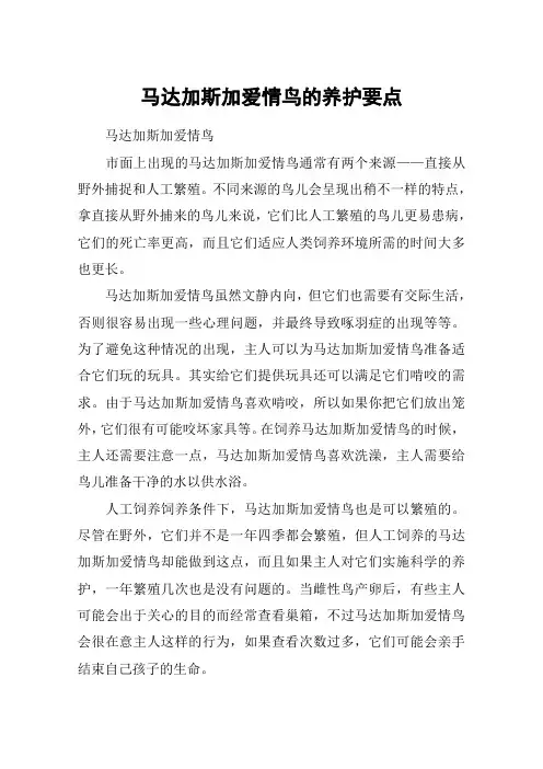 马达加斯加爱情鸟的养护要点