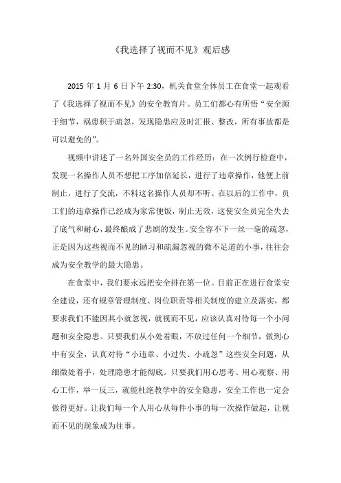 《我选择了视而不见》观后感2