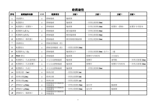 医院信息部门关于给药途径