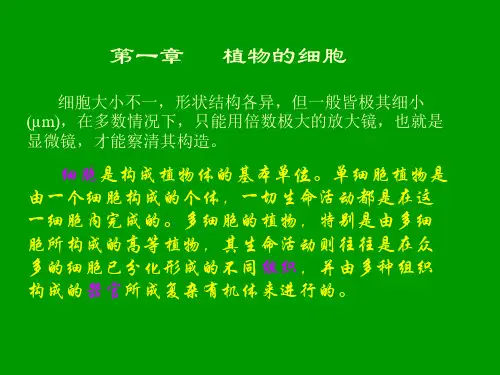 药用植物学课件yyzwx-2植物的细胞