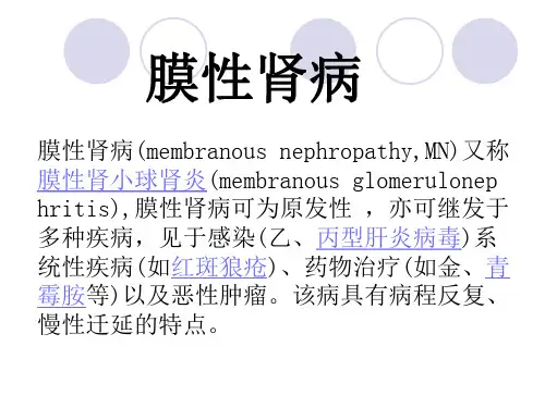 膜性肾病_【PPT课件】