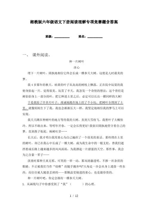 湘教版六年级语文下册阅读理解专项竞赛题含答案