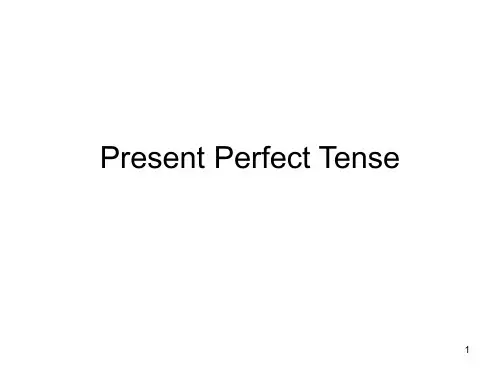 Present-Perfect-Tense讲解PPT课件