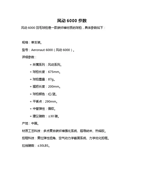 风动6000参数