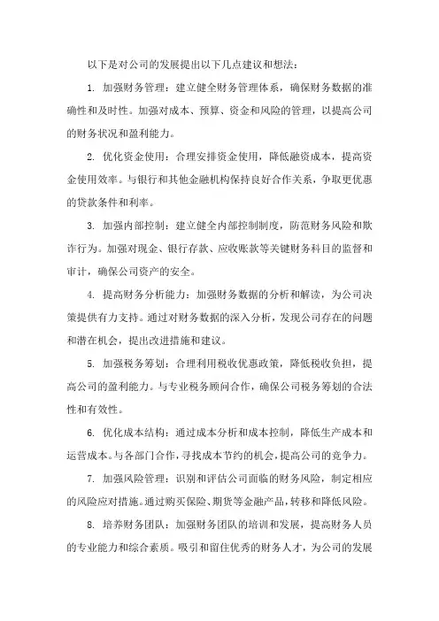 财务个人对公司发展建议和想法