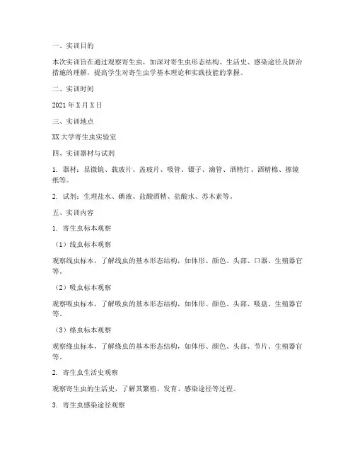 观察寄生虫实训报告单