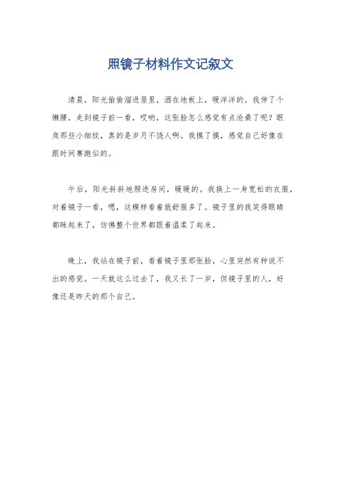 照镜子材料作文记叙文