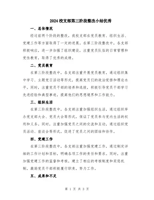 2024校支部第三阶段整改小结优秀