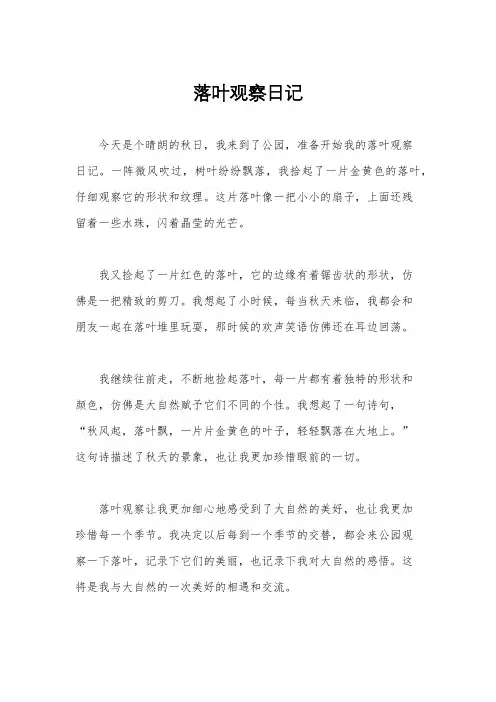 落叶观察日记