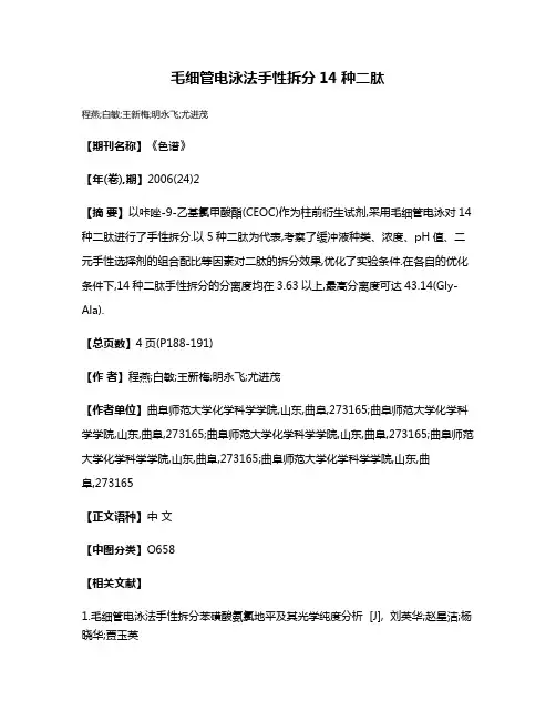 毛细管电泳法手性拆分14种二肽