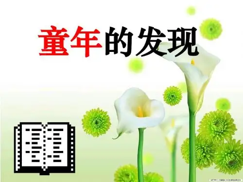 人教版小学五年级下册语文第8课《童年的发现》课件 