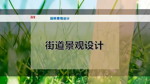 街道景观设计