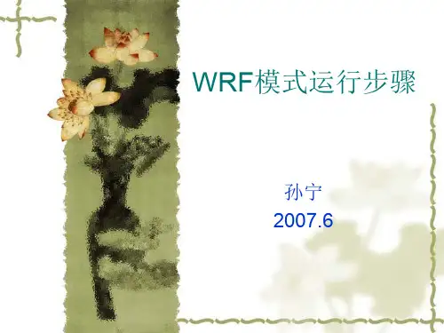 WRF模式运行步骤