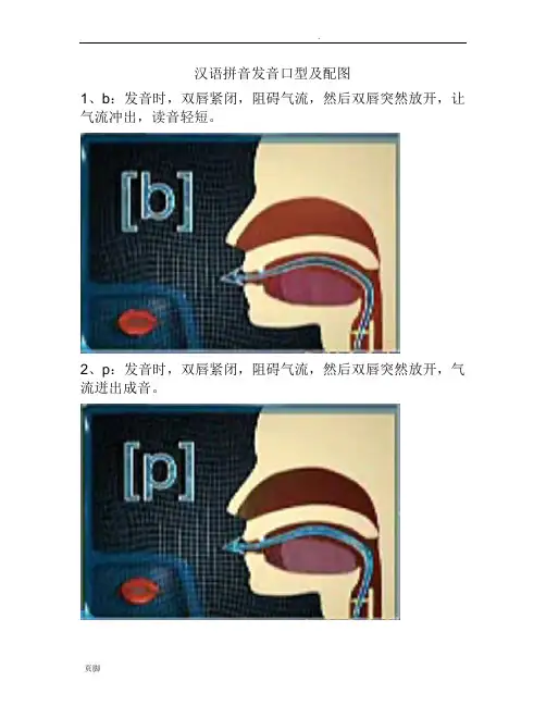 汉语拼音发音口型和配图
