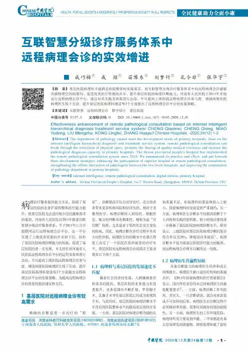 互联智慧分级诊疗服务体系中远程病理会诊的实效增进