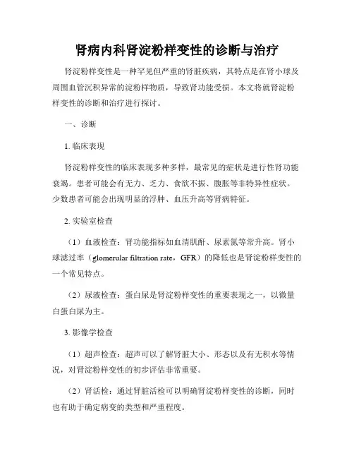 肾病内科肾淀粉样变性的诊断与治疗