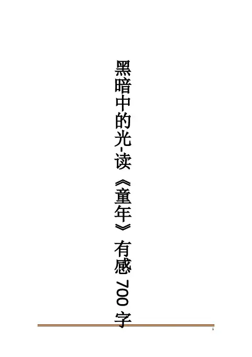 黑暗中的光-读《童年》有感700字作文大全
