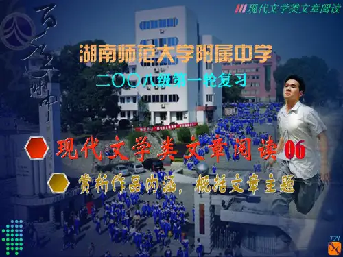 现代文学类文章阅读06·赏析作品内涵_概括文章主题