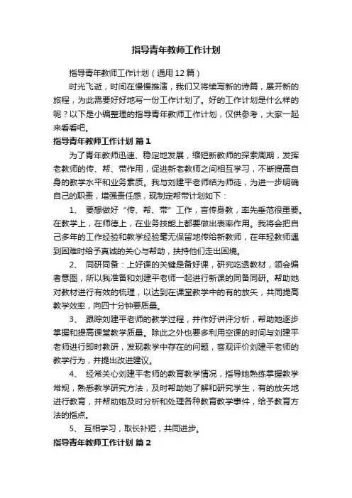 指导青年教师工作计划（通用12篇）
