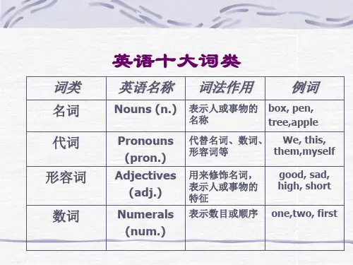 英语十大词类