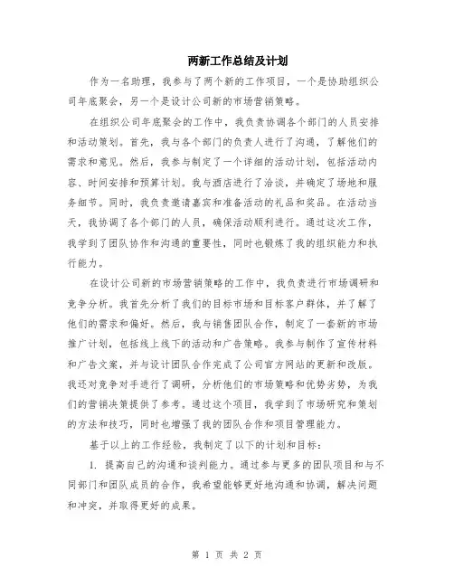 两新工作总结及计划